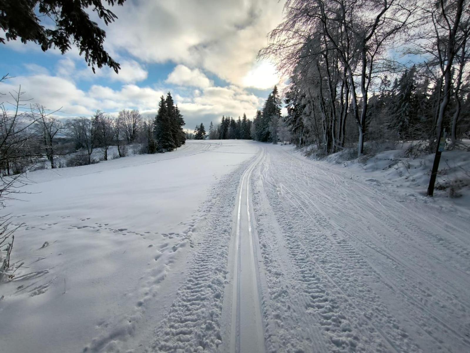 Rekreacni Horska Chata Na Nove Vsi 90 Dolni Moravice Exterior photo
