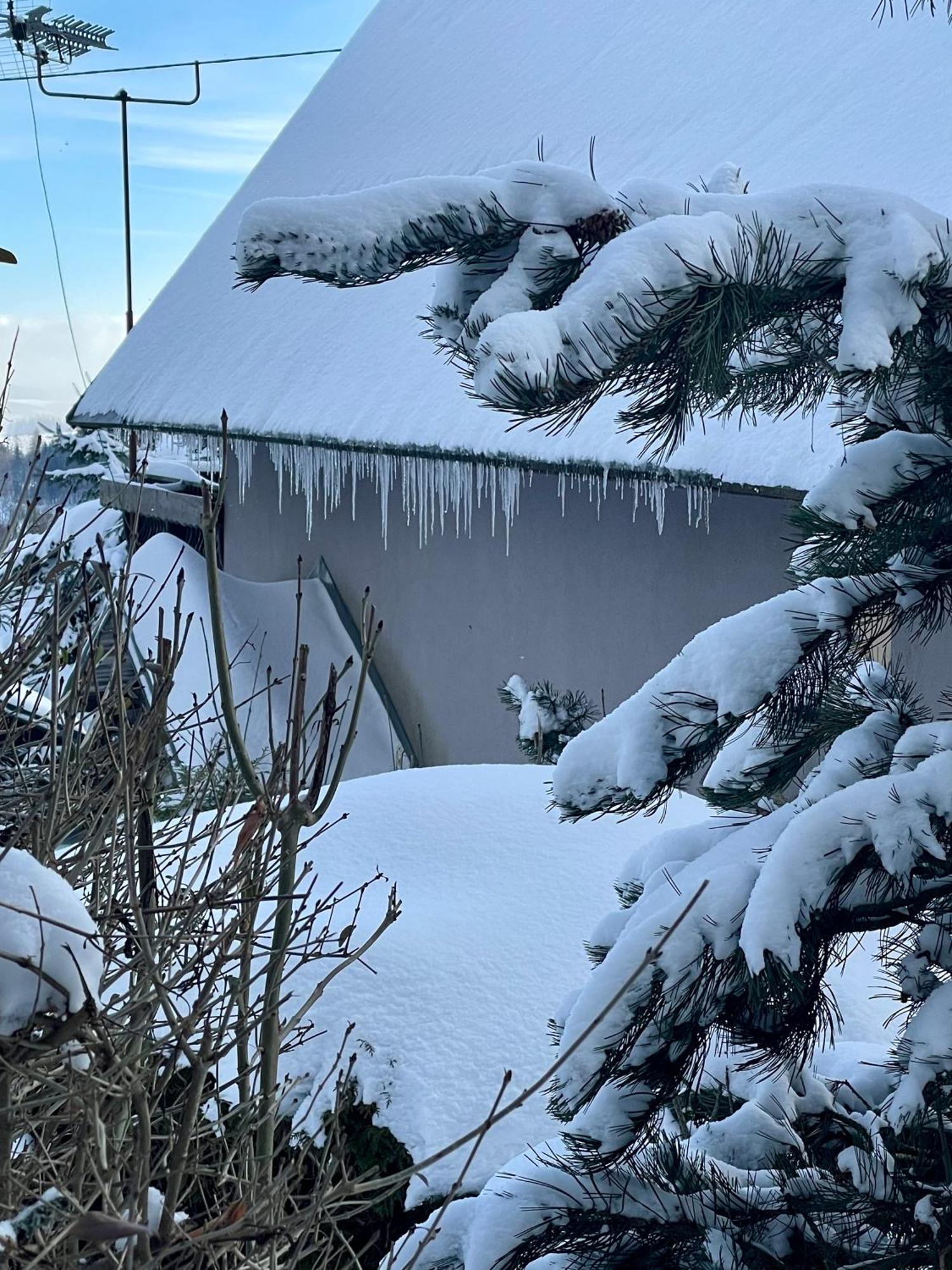 Rekreacni Horska Chata Na Nove Vsi 90 Dolni Moravice Exterior photo